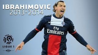 Zlatan Ibrahimovic  All Goals in 20132014 1st half  PSG [upl. by Guevara135]