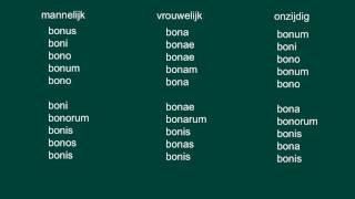 Het bijvoeglijk naamwoord Latijn [upl. by Elden]