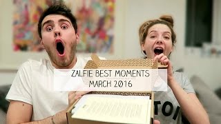 Zalfie Best Moments  MARCH 2016 [upl. by Sinegra45]