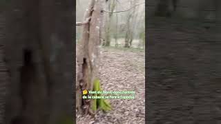 Bushcraft à Périgueux vidéo n°2 Des idées en tête je me lance dans cette belle aventure😉 [upl. by Dulsea]