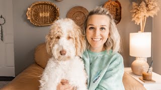 AUSSIEDOODLE  5 Things I WISH I would have known BEFORE getting an Aussiedoodle  Torey Noora [upl. by Teresina]