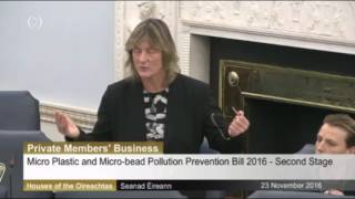 Grace OSullivan Conclusion on Microbead and Micro Plastics Bill [upl. by Fogarty]