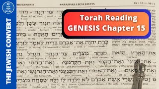 Genesis Chapter 15  Torah Reading in Hebrew amp English Translation  TORAH STUDY [upl. by Lilahk]