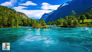 3 Hours of Amazing Nature Scenery amp Relaxing Music for Stress Relief [upl. by Galan]