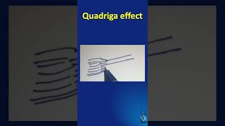 Shorts  115 The Quadriga effect  Explained in just 1 minute [upl. by Crescin]