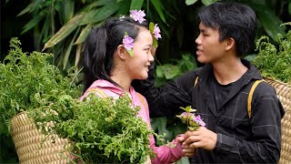 Harvesting wild vegetables  Love blooms in the green forest [upl. by Schaffer]