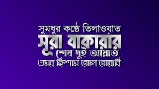 সূরা বাকারার শেষ দুই আয়াত  Surah Al Baqarah last 2 ayat  Omar Hisham Al Arabi [upl. by Darcey45]