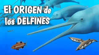 🐬Conoce el ORIGEN y EVOLUCIÓN de los Delfines 🐬 [upl. by Ellehsal]