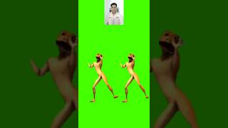 Patila DANCE  Green Screen Video nocopyright shortvideo [upl. by Aikehs360]