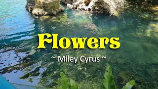 Flowers  KARAOKE VERSION  in the style of Miley Cyrus [upl. by Adine]