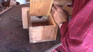 How to Wasp Proof a Bird House [upl. by Odradlig]