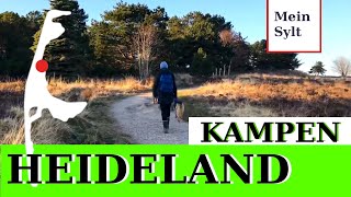 Sylt Kupferkanne Kampen  Walking tour [upl. by Sylas]