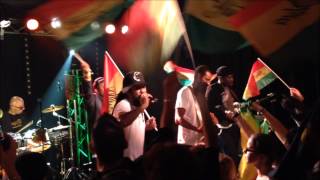 YANISS ODUA  ROUGE JAUNE VERT Live  Wattrelos Nov2013 [upl. by Downall]