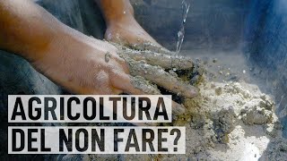 AGRICOLTURA NATURALE coltivare con il metodo Fukuoka [upl. by Vaenfila863]