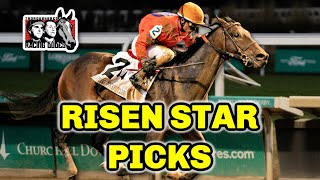 Risen Star Stakes 2024  Fair Grounds Picks Kentucky Derby [upl. by Lasko]