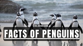 THE UNIQUE BIRDS  FACTS OF PENGUINS  BY FACTS CORRIDOR [upl. by Ioyal]