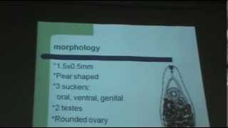 Drmona mahmoud  parasitology  Helminthology 3 [upl. by Romelda]