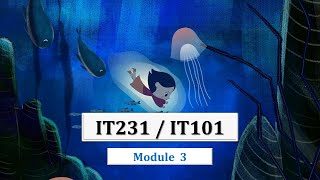 IT231 Module 3 Part 1 الحلقة الثامنة [upl. by Jp]