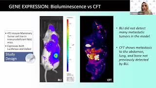 CryoFluorescence Tomography A New Imaging Modality for Preclinical Researchers [upl. by Bannasch]