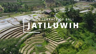 JATILUWIH RICE TERRACE OF BALI [upl. by Aseen219]