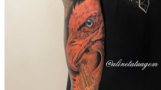 Tatuagem águia realista [upl. by Aterg464]