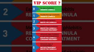 PHLEBITIS SCORE VIP SCORE  IV CANNULA CHECKLIST nurses norcet nclex cannulation phlebotomy [upl. by Apoor]