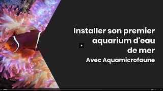 Installer son premier aquarium deau de mer [upl. by Sigismond]