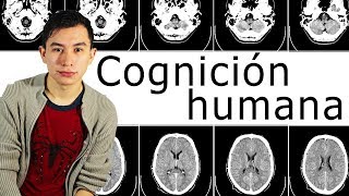 ¿Qué es la cognición EXPLICACIÓN RÁPIDA Neuropsicologia [upl. by Blakeley]