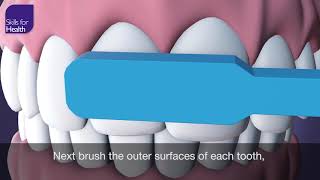 How to Brush Your Teeth Animation MCM [upl. by Leavelle88]