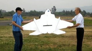 F22 Foam Fu Fighter Crashes [upl. by Witty]