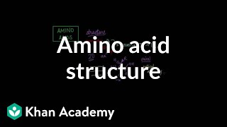 Amino acid structure  Chemical processes  MCAT  Khan Academy [upl. by Chastity375]