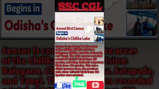 Annual Bird Census Begins In Odishas Chilika Lake  shorts ytshorts juvenileknowledge [upl. by Nirtak]