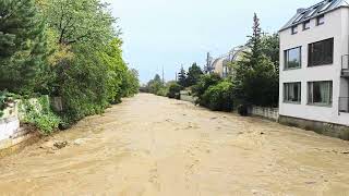 Hochwasser der Schwechat in Baden bei Wien II [upl. by Yessak]