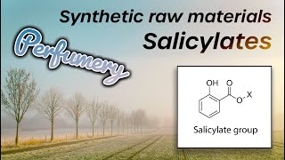 Synthetics in perfumery  Salicylates Perfume raw materials [upl. by Hgielyak]