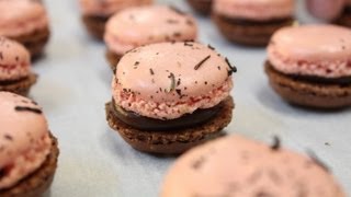 100 Macarons  750g de Gourmandises [upl. by Airottiv621]