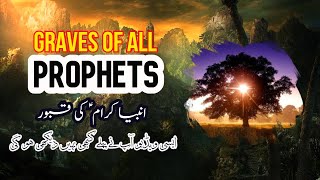 Graves of All ProphetsBest Video That You Have Never Seen BeforeHoly PlacesIslamic History [upl. by Eiramnna]