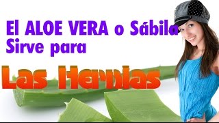 El Aloe Vera Sirve Para la HERNIA HIATAL Un Remedio Natural para la hernia de hiato es la Sábila [upl. by Llecrup15]