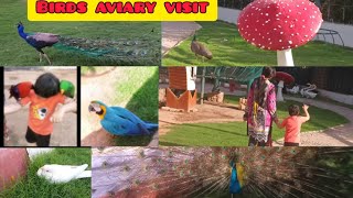 Birds Aviary Vlog Bird Cage I Aviaries I Exotic Birds birds [upl. by Aer]