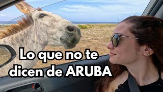 Guía Completa Parte 2  Lo Que Pocos Te Dicen Sobre Aruba [upl. by Stanwinn]