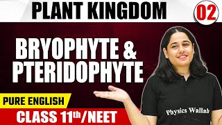 PLANT KINGDOM 02  Bryophyte amp Pteridophyte  Botany  Pure English  Class 11thNEET [upl. by Munafo471]