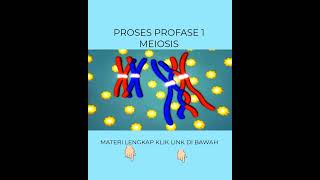 TAHAPAN PEMBELAHAN MEIOSIS PROFASE 1 ipa edukasi faktaunik biologi [upl. by Lorusso]