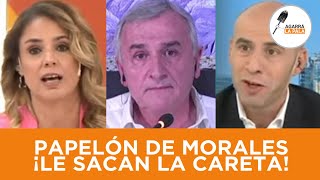 Marina Calabró y el pelado Trebucq le sacaron la careta a Morales tras LLORAR EN TV quotEs venganzaquot [upl. by Lewin146]