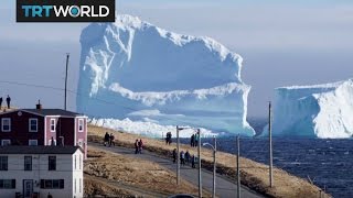 Icebergs Arrive First icebergs of the season spotted off Canada [upl. by Vivianna]