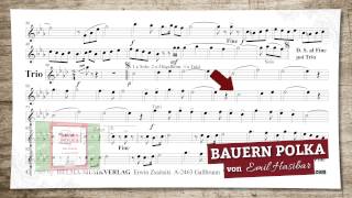 Bauern Polka [upl. by Wolfram]