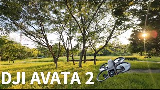 DJI AVATA2  Cinematic  Play  RockSteady [upl. by Olathe487]