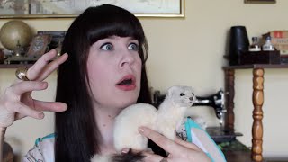 Ask a Mortician Human Taxidermy [upl. by Venus641]