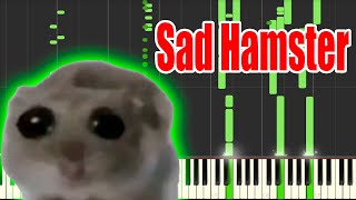 Sad Hamster but its MIDI Auditory Illusion  Sad Hamster Piano sound [upl. by Llyrehc]