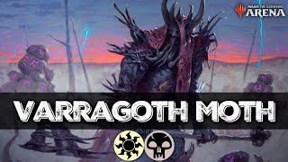 Bloodsky Broodmoth Aggro is PERFECT for Standard  MTG Arena [upl. by Middendorf692]