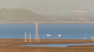 Spinnaker Sailing Class  February 28 2024  San Francisco Bay [upl. by Sewole]