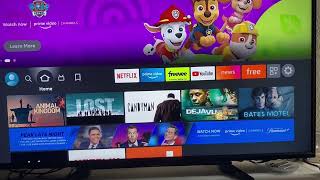 How to Turn ON Developer Options on Fire TV Stick and Fire TV [upl. by Kinna]